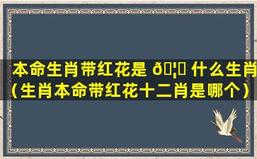 本命生肖带红花是 🦉 什么生肖（生肖本命带红花十二肖是哪个）